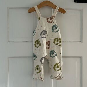 Zara Baby 1-3mo • Adorable Hedgehog Overalls